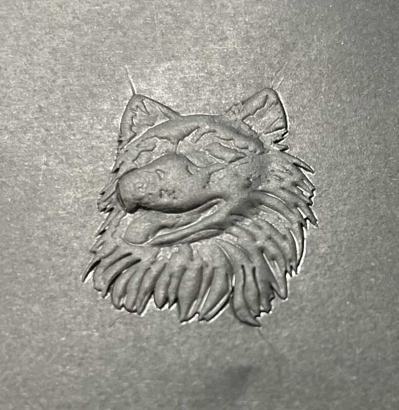 High precision Hot Foiling Stamping Machine with laser sensor and double side gauge for flat and 3D stamping on packaging paper